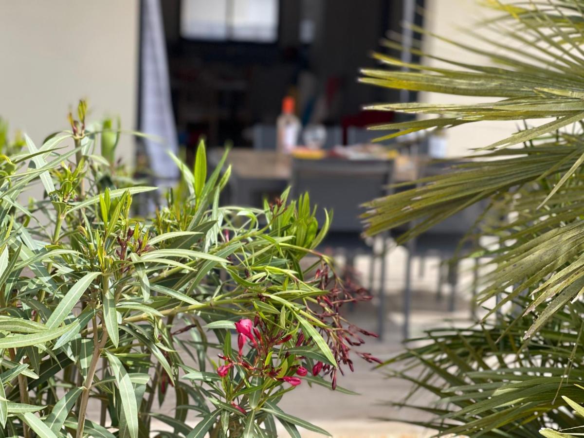 Villa Moderne Avec Spa A Montalivet Vensac Eksteriør billede